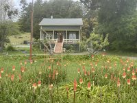 Grounds & Decks